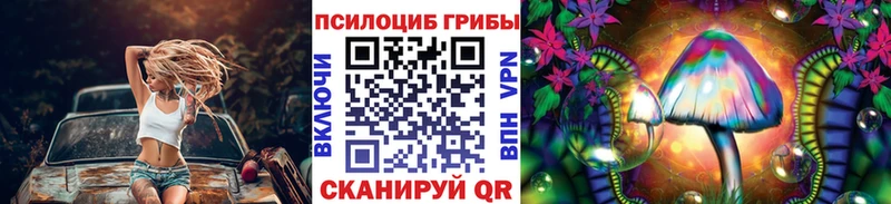 Псилоцибиновые грибы Psilocybe  Тайшет 